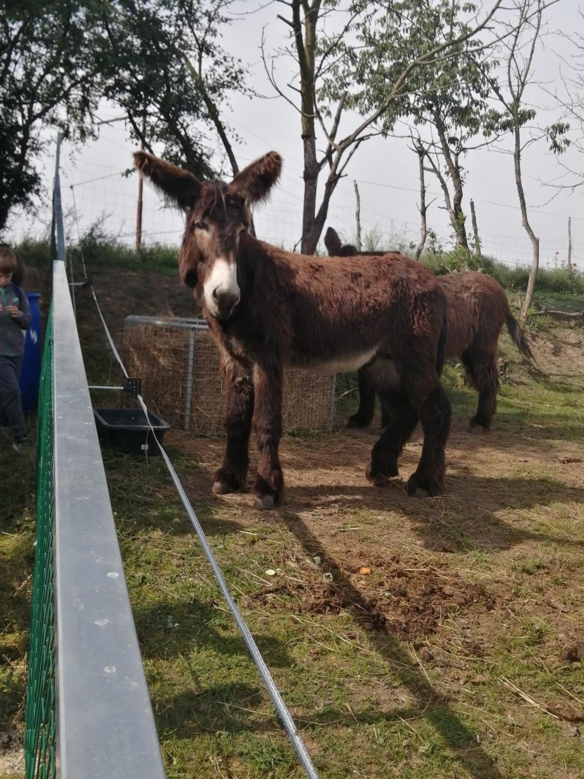 Díky sponzorskému daru si děti mohly užít krásný den v ZOO. Moc děkujeme. 