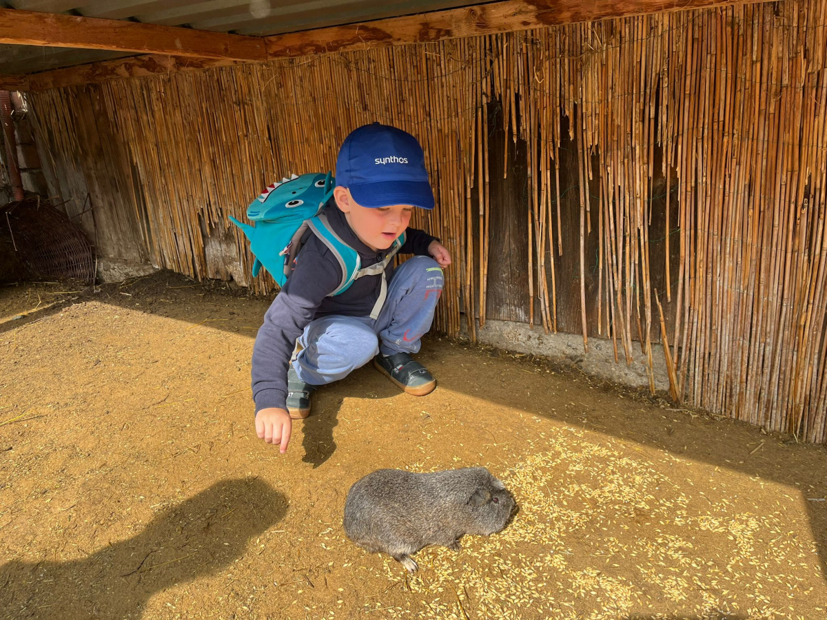 Díky sponzorskému daru si děti mohly užít krásný den v ZOO. Moc děkujeme. 